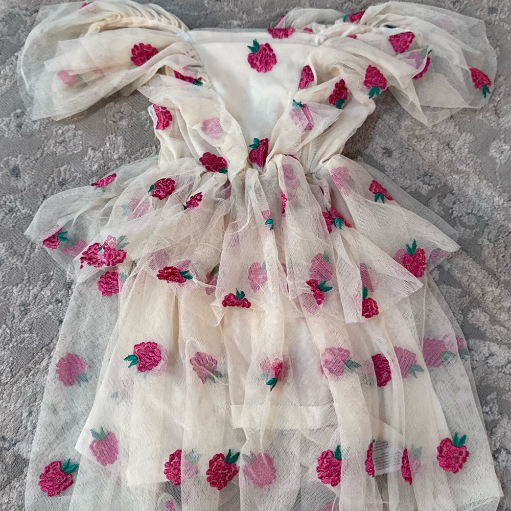 Floral Embroidered Tulle Dress